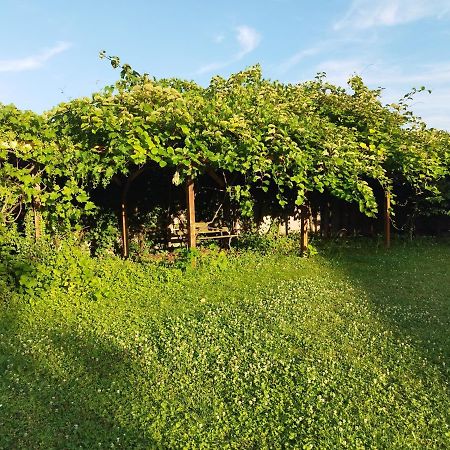 River Side - Cosy - Lot Of Space Huningue Zewnętrze zdjęcie