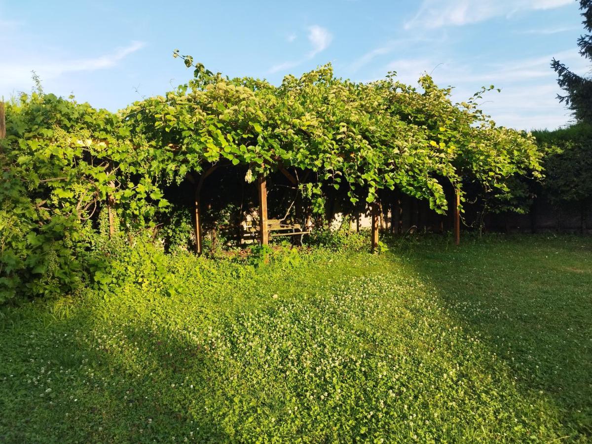 River Side - Cosy - Lot Of Space Huningue Zewnętrze zdjęcie
